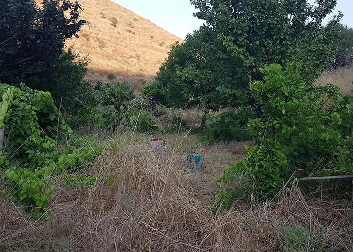 Κυθνος Δρυοπίδα, Στούντιο Χατζής
