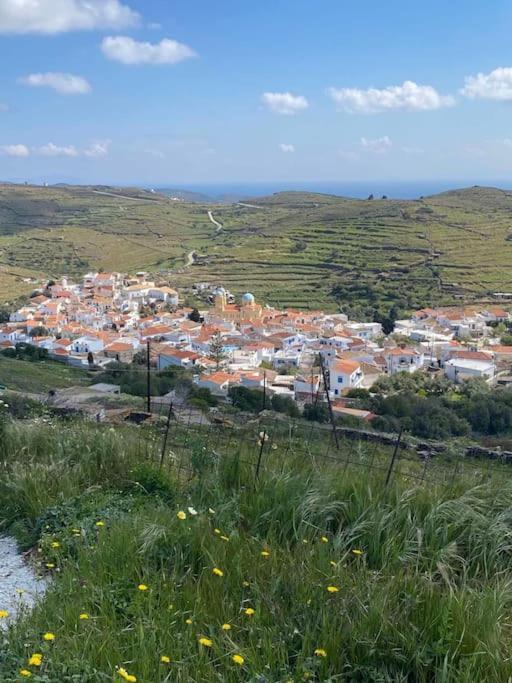κυθνος δρυοπίδα, στούντιο χατζής