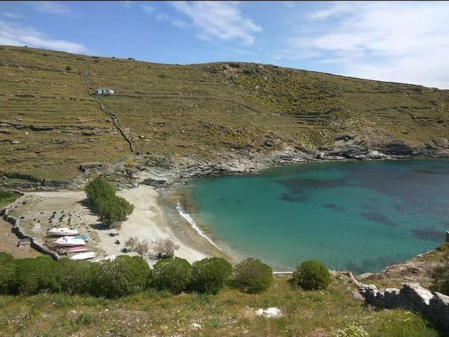 κυθνος δρυοπίδα, στούντιο χατζής
